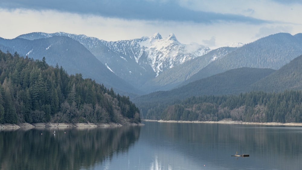 Grüne Bäume in der Nähe von See und schneebedecktem Berg tagsüber