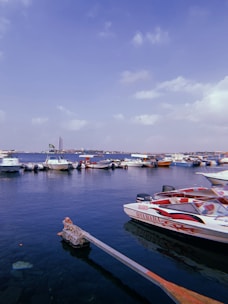 A harbor scene with multiple boats moored along a dock under a clear sky. The water appears calm, reflecting the blue of the sky. In the foreground, a speedboat prominently displaying the Yamaha brand is visible. A distant cityscape with a tall building and a flag can be seen across the water.
