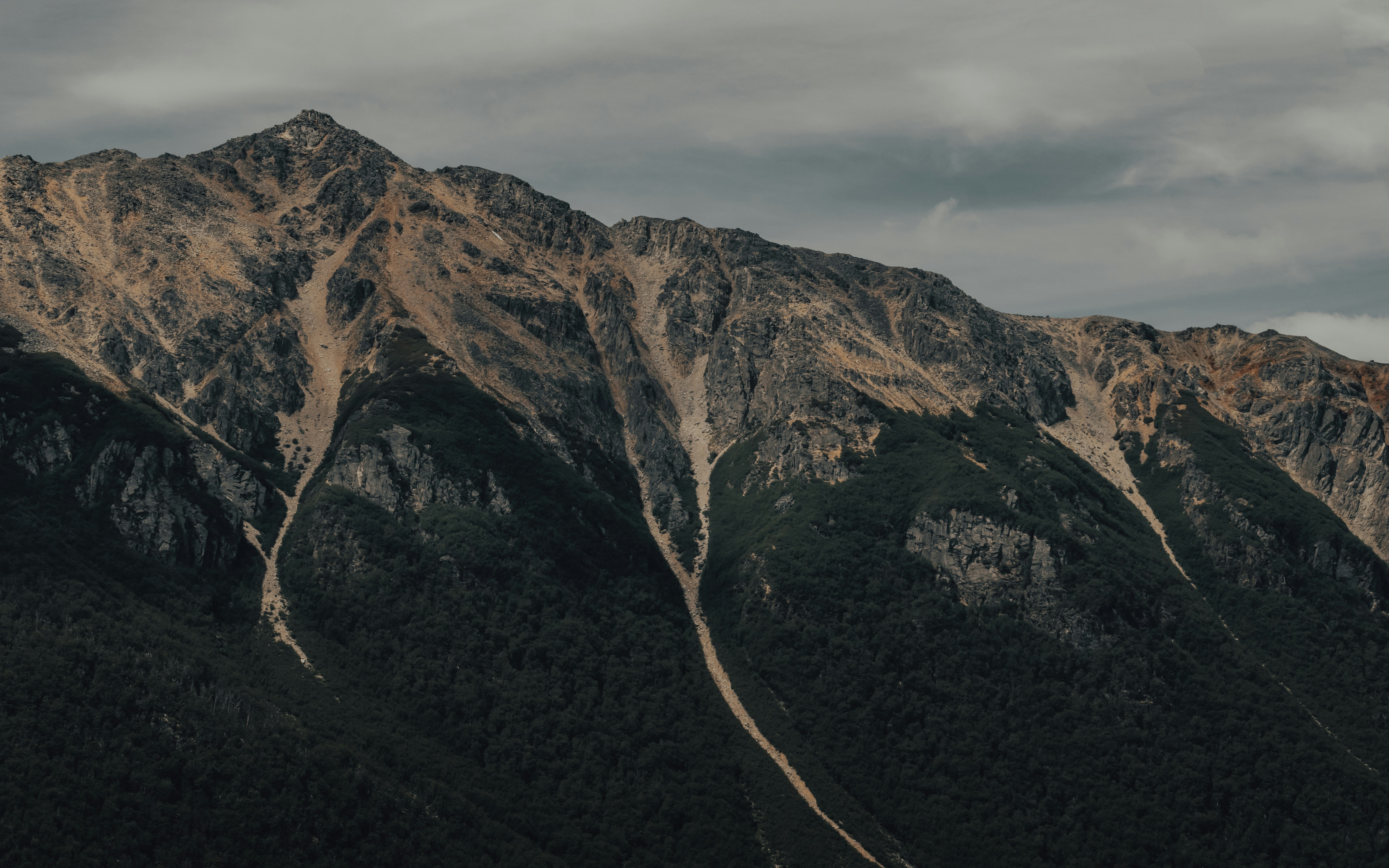 Photo by gasparzaldo