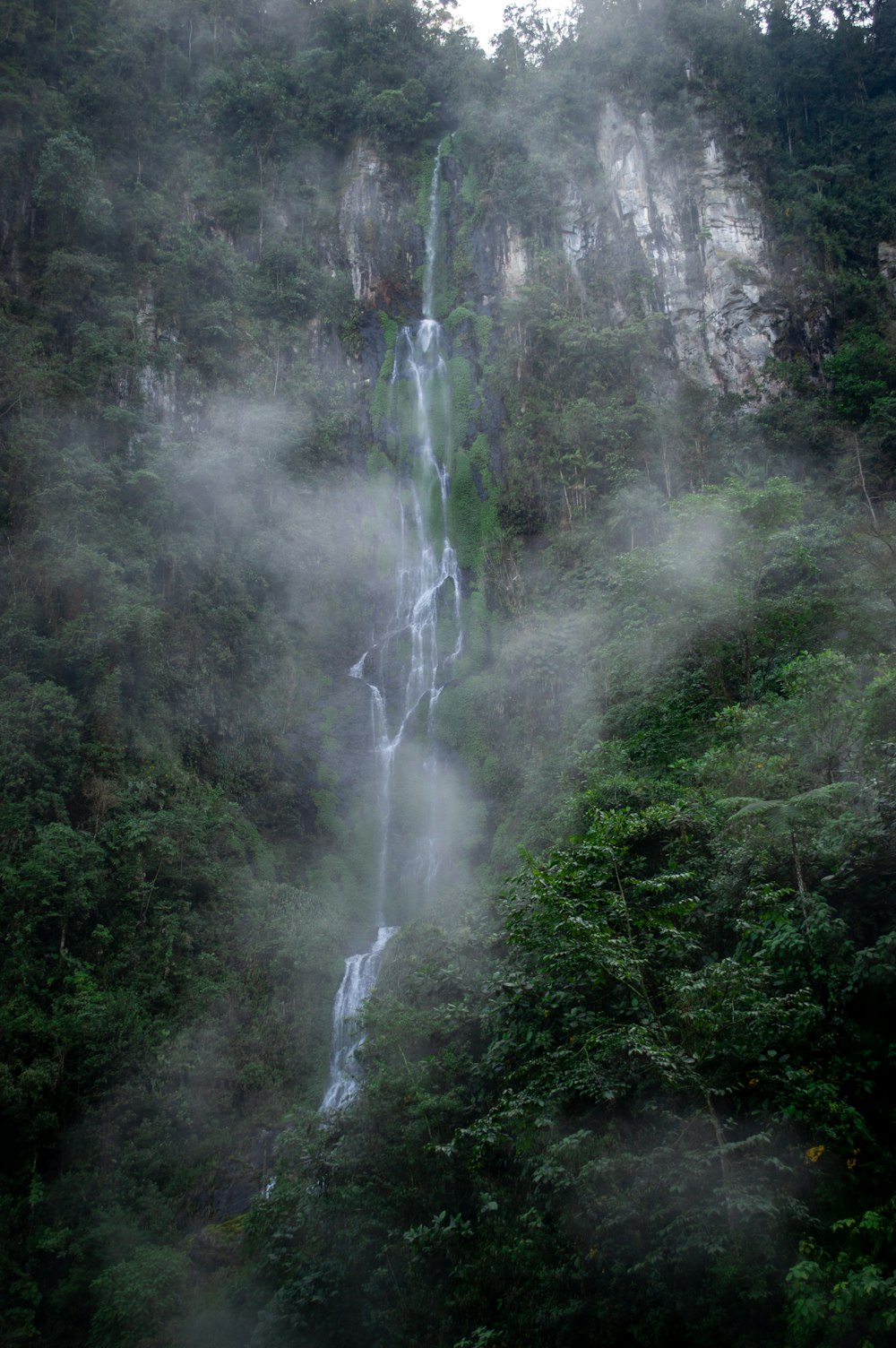 waterfalls in the middle of forest during daytime