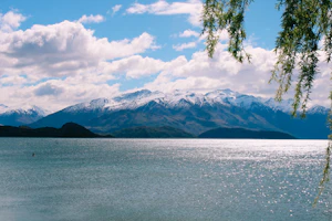 Wanaka