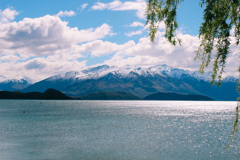 Top Fine Dining Restaurants in Wanaka for a Truly Special Meal