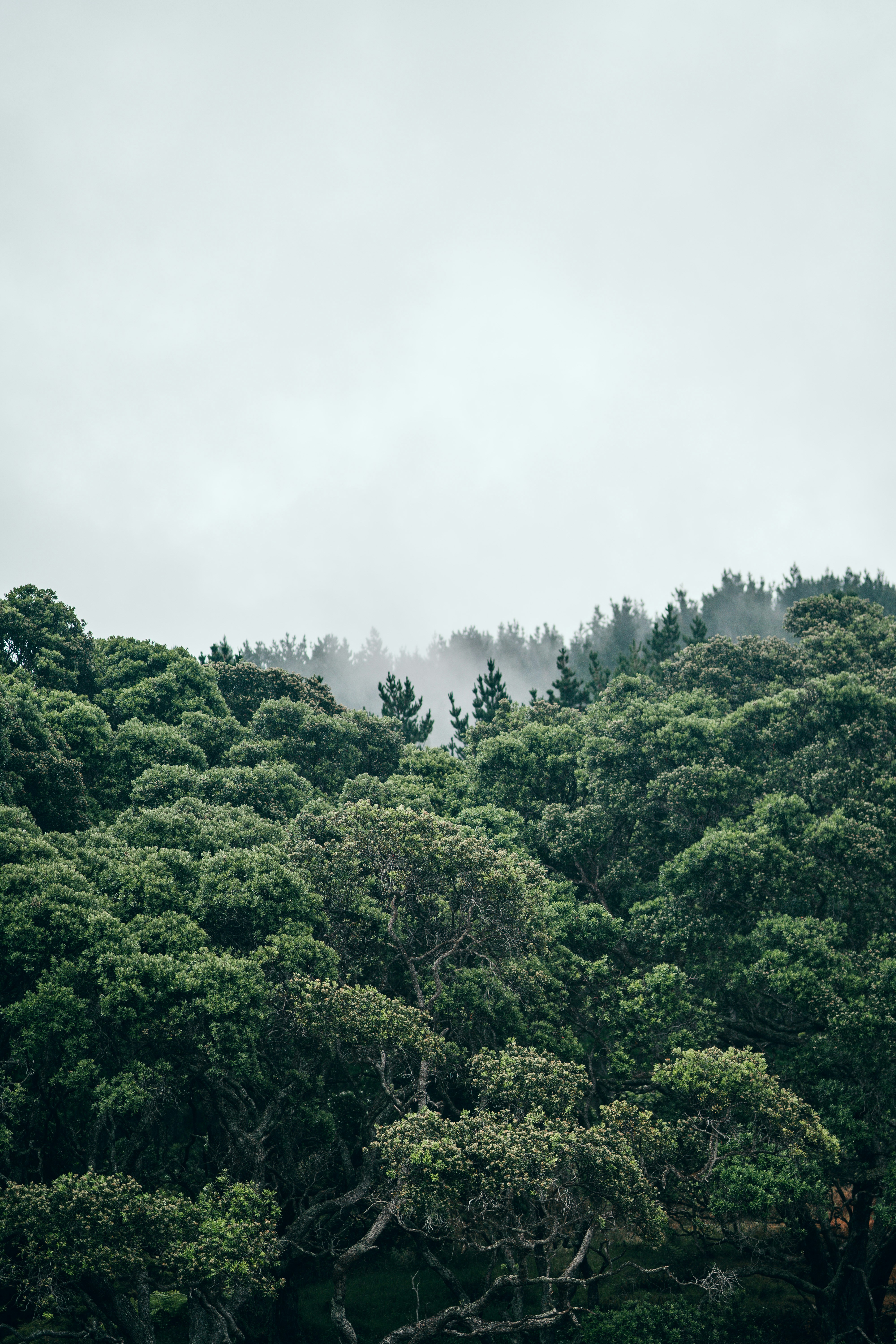 Photo by churrbroskii