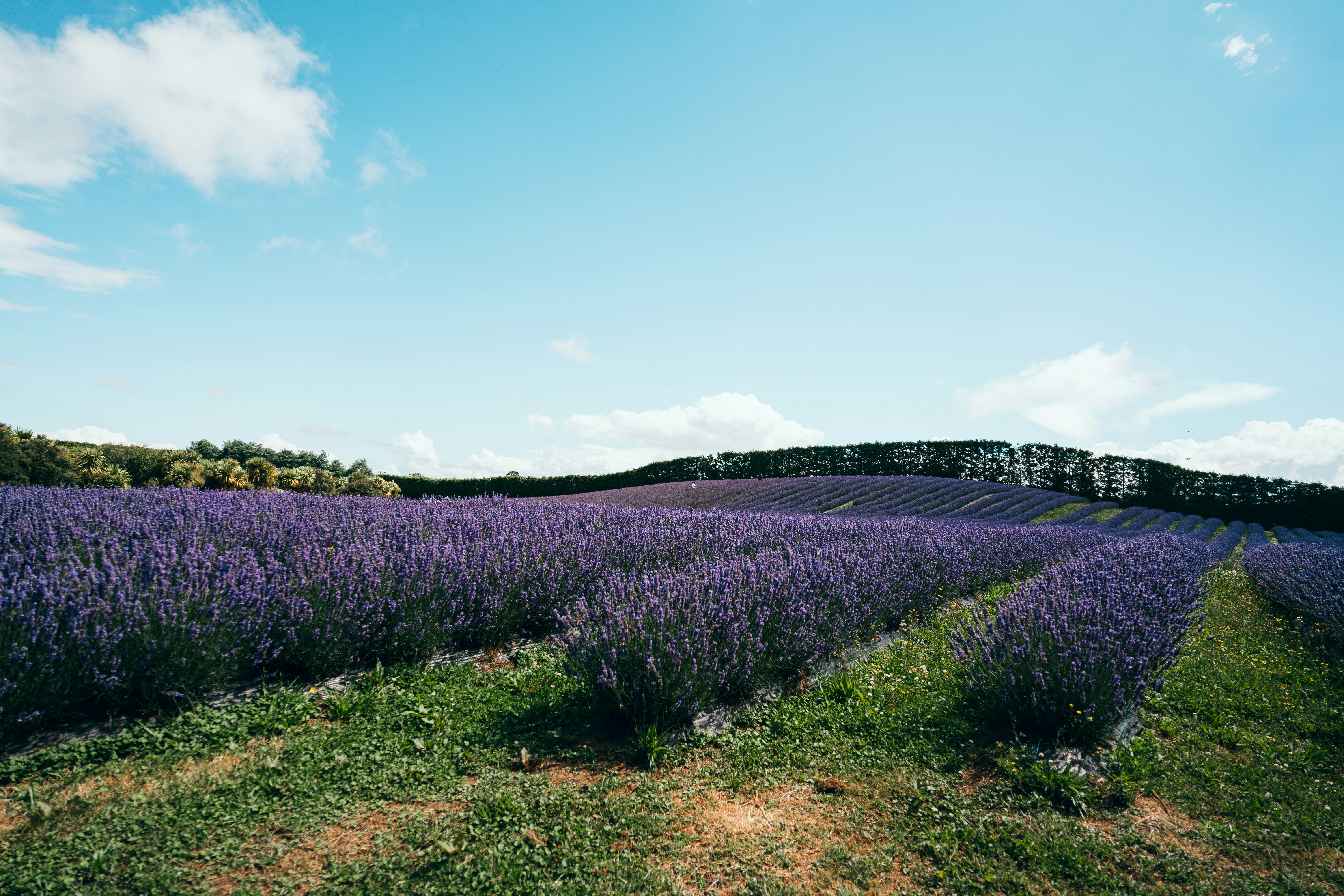 Photo by churrbroskii