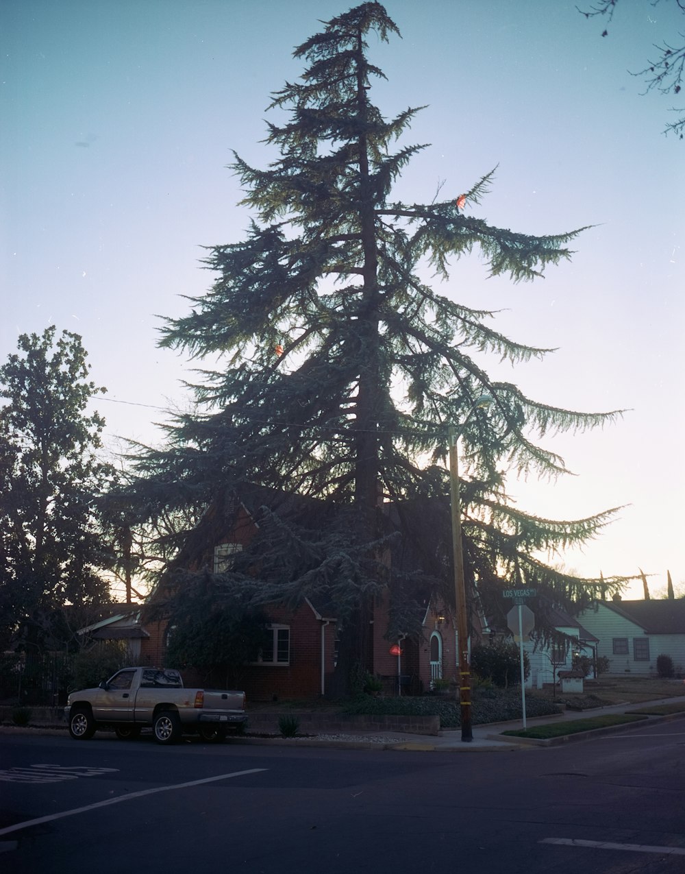 green tree near white and brown house during daytime