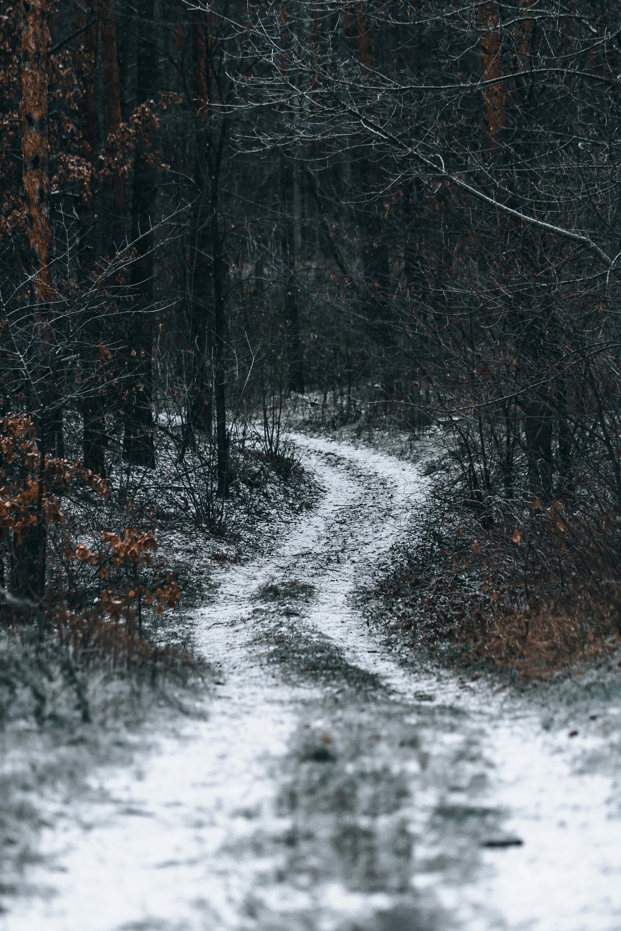 Photo by eugenechystiakov