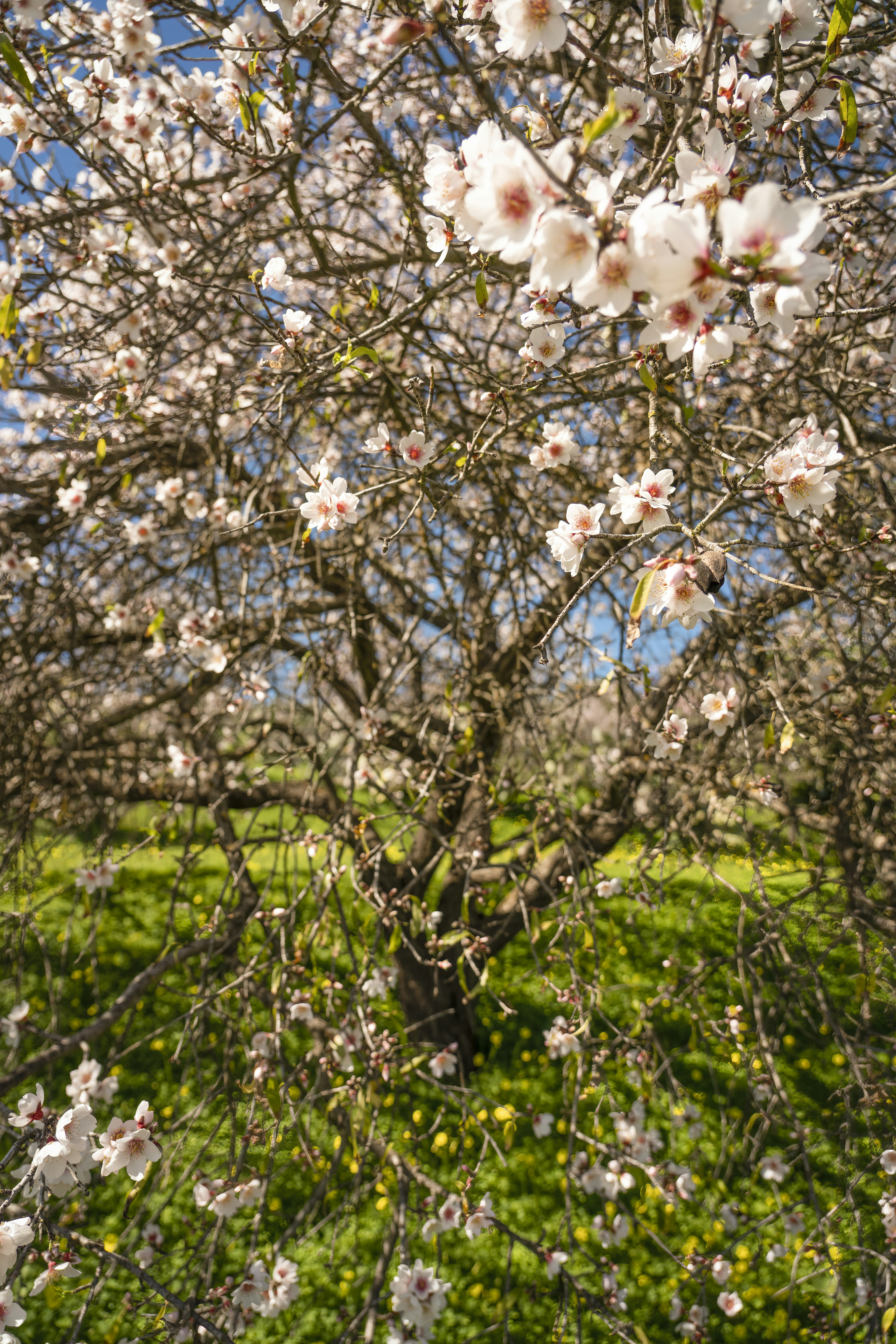 Photo by christianbuehner