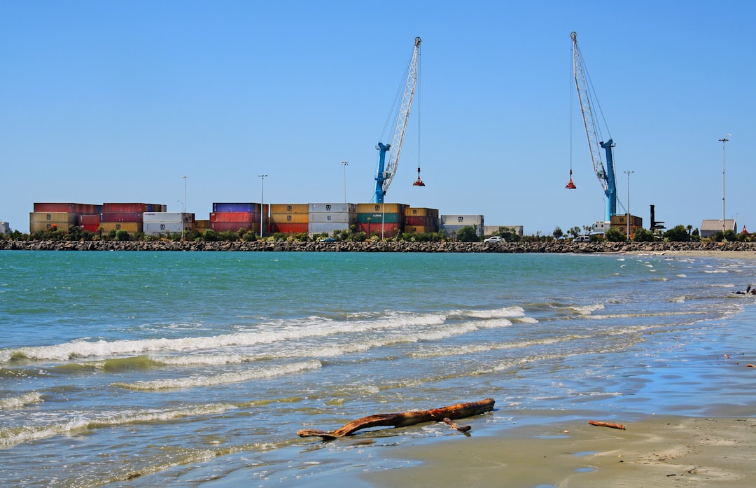 red and blue cargo ship on sea during daytime