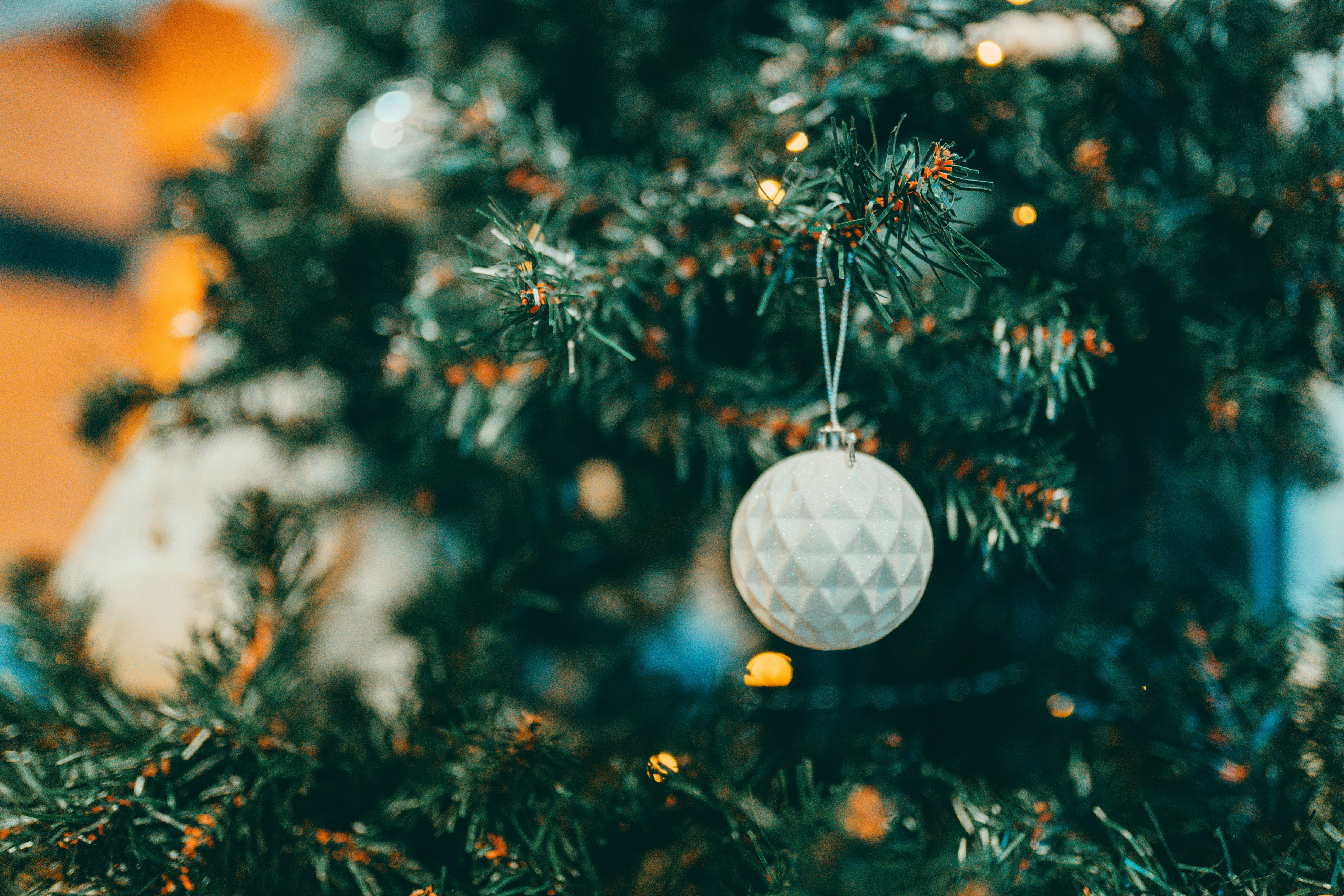 緑のクリスマス ツリーに白と銀の安物の宝石の写真 Unsplashで見つけるクリスマスツリーの無料写真