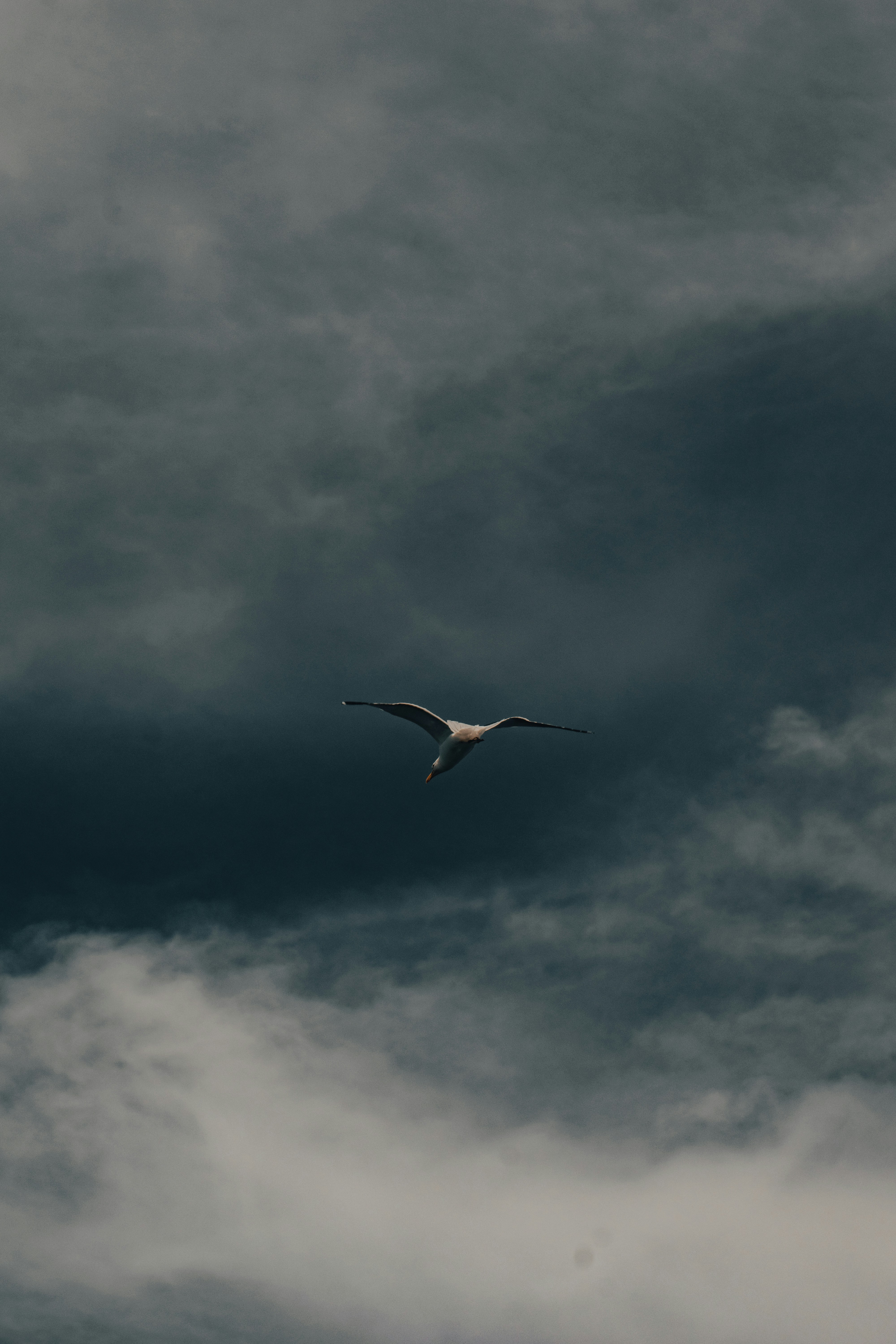 Photo by gasparzaldo