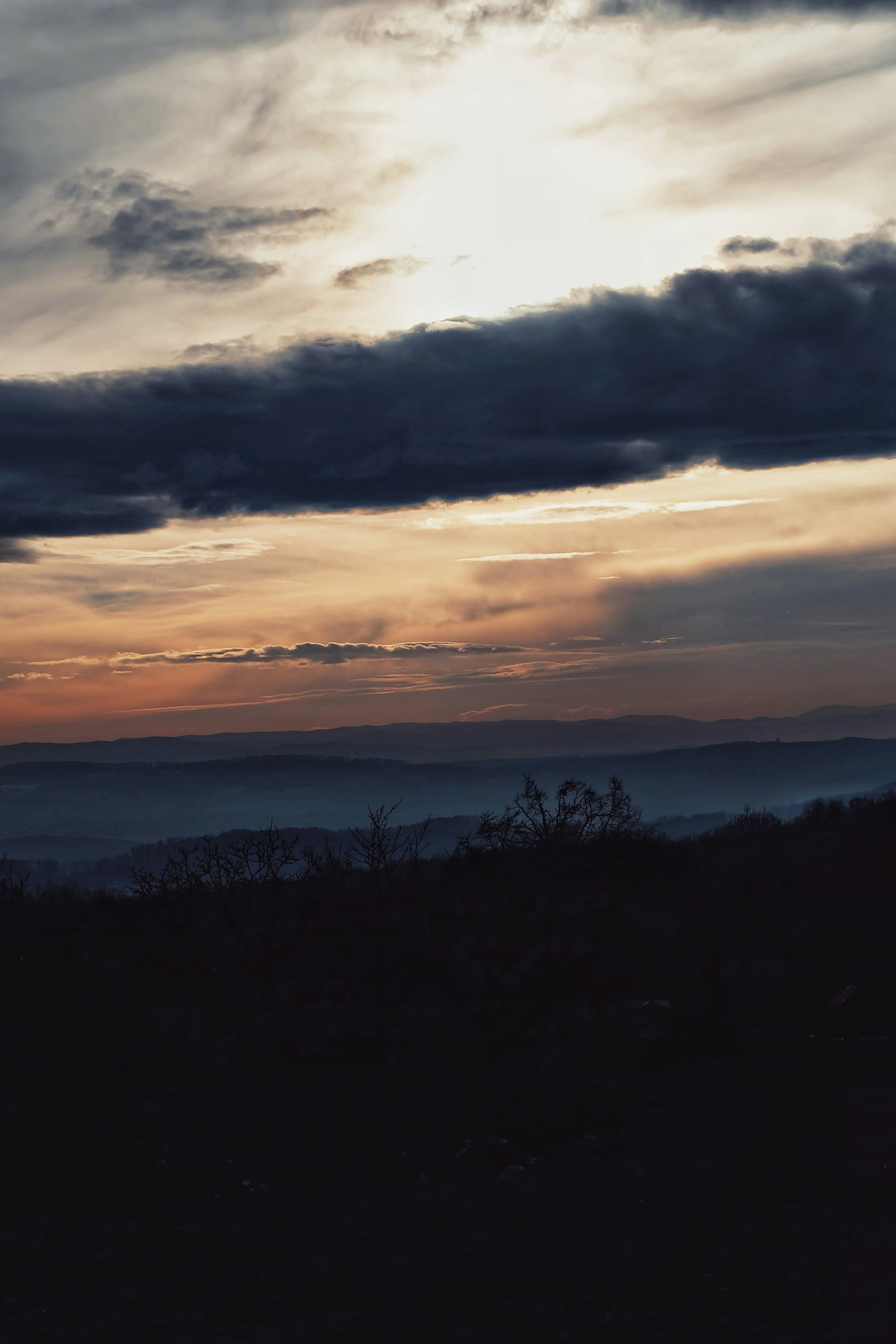 Photo by bardashka