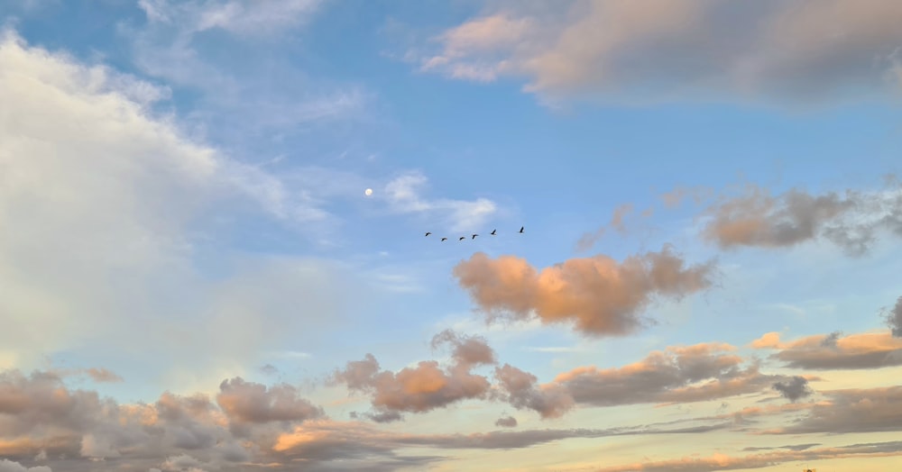 airplane flying in the sky during daytime