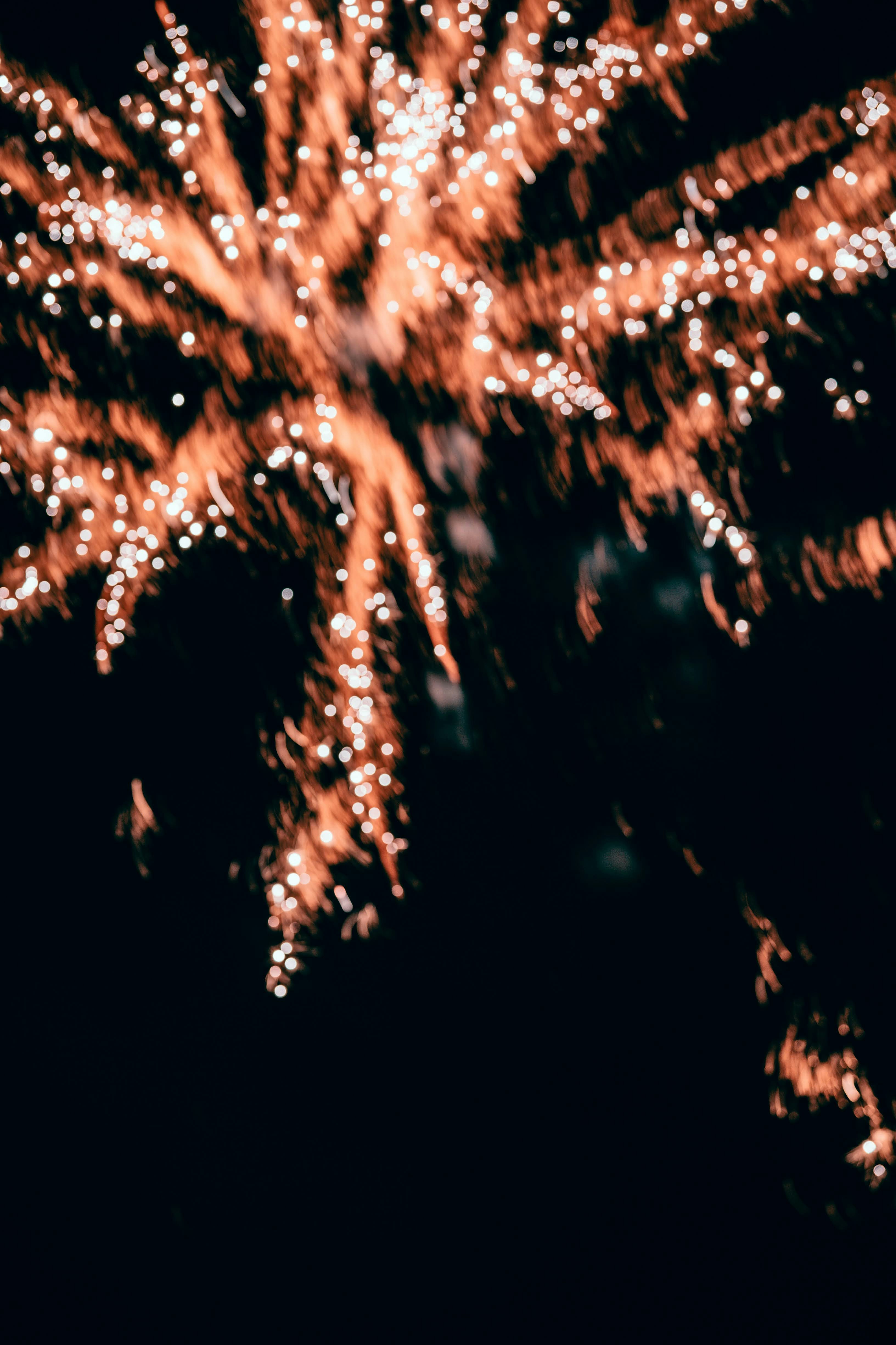 Photo by churrbroskii