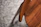 Close-up of a beautifully finished handmade chair highlighting the wood grain and joinery.