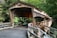 brown wooden bridge near green trees during daytime