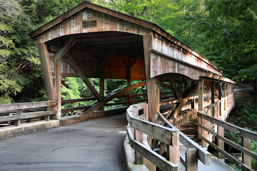 brown wooden bridge near green trees during daytime