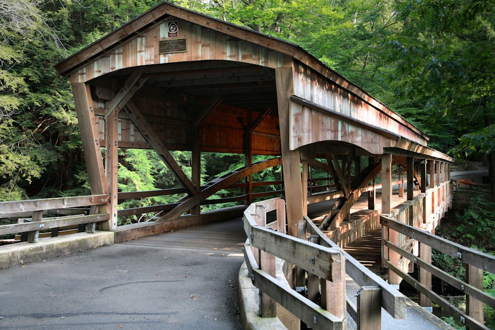 Braune Holzbrücke in der Nähe von grünen Bäumen tagsüber