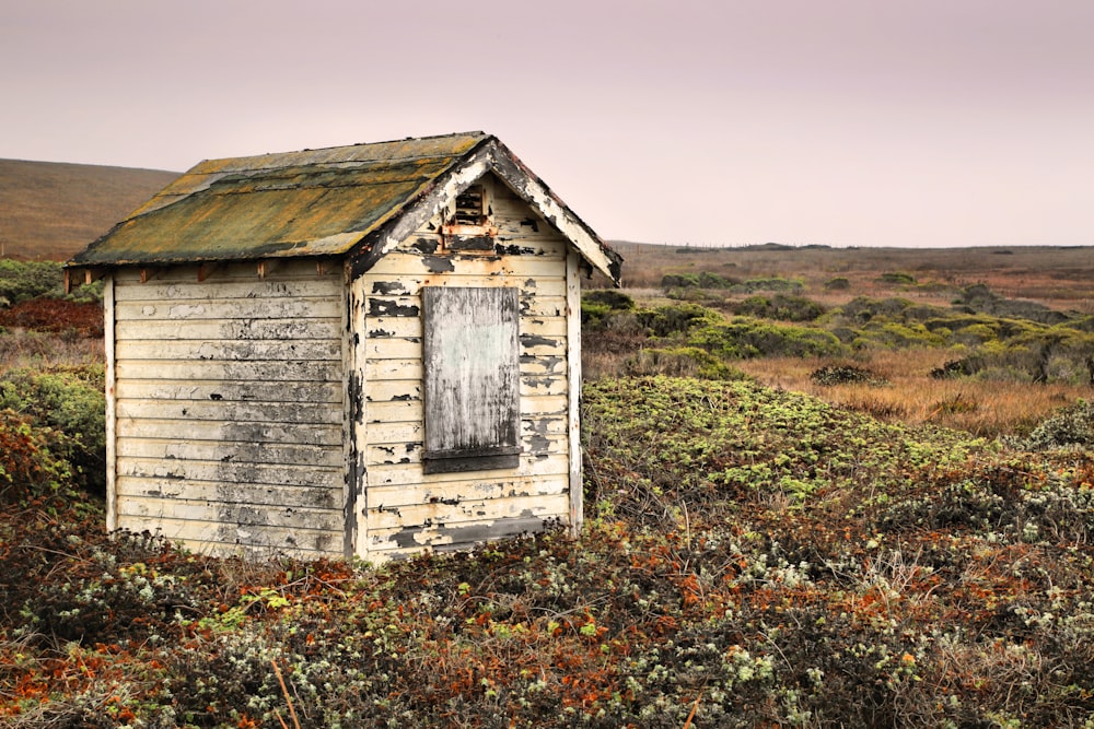 gray wooden house on green grass field under white sky during daytime