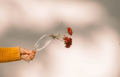 person holding clear glass heart ornament visual google meet background