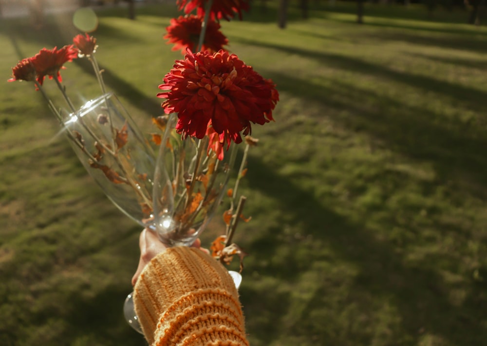 red and white flower bouquet