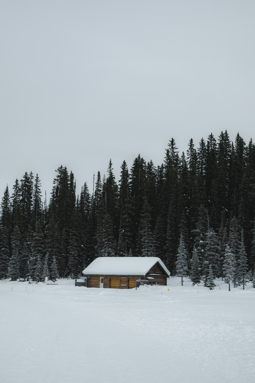 brown wooden house on snow covered ground