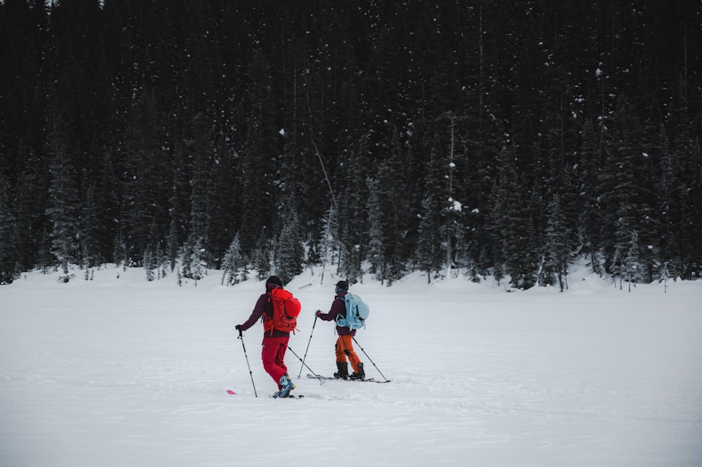 Persona con chaqueta roja y pantalones negros montando hojas de esquí en suelo cubierto de nieve durante el día