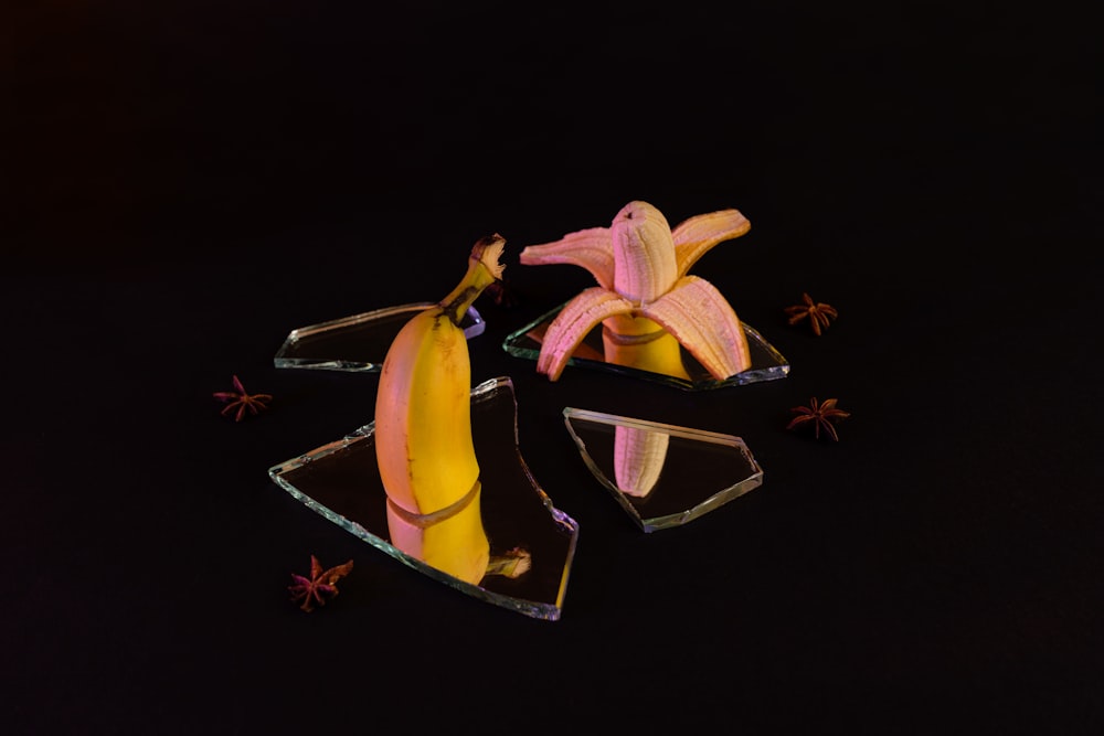 yellow and black butterfly on brown wooden table