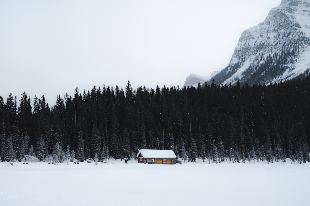 white and brown house on snow covered ground near trees and mountain during daytime