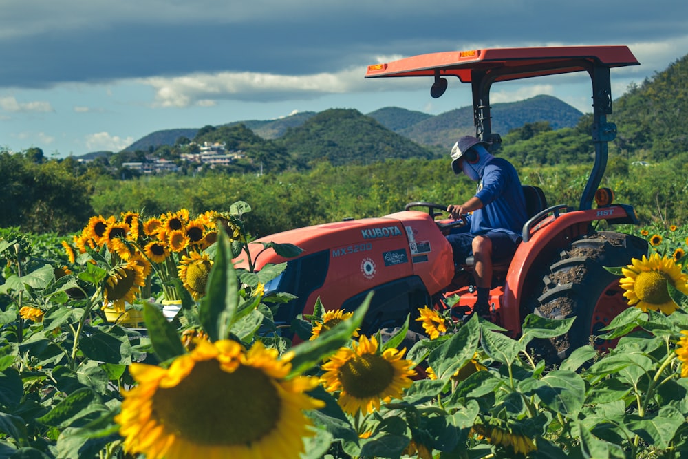 red tractor on sunflower field during daytime