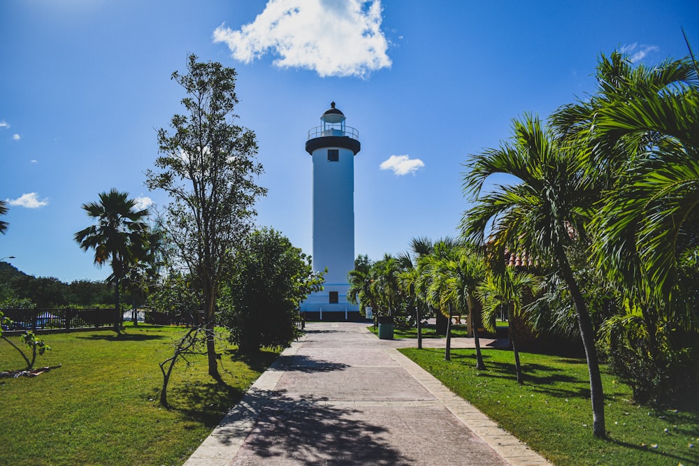 white light house surrounded by trees during daytime