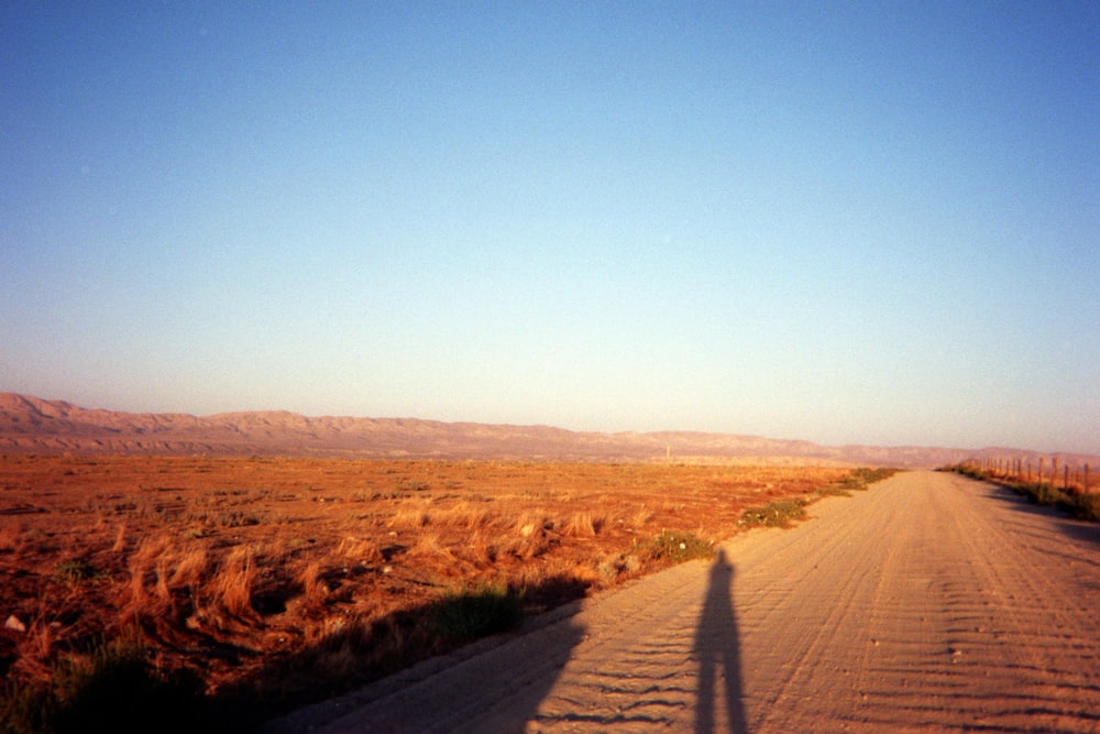 brown field under blue sky during daytime