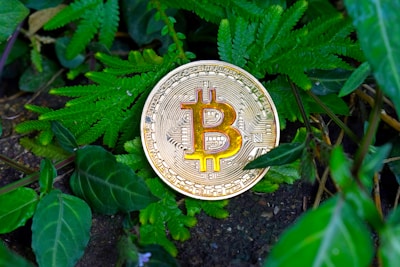 A gold-colored Bitcoin coin is placed among vibrant green leaves, creating a natural setting for the digital currency.