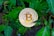 A gold-colored Bitcoin coin is placed among vibrant green leaves, creating a natural setting for the digital currency.