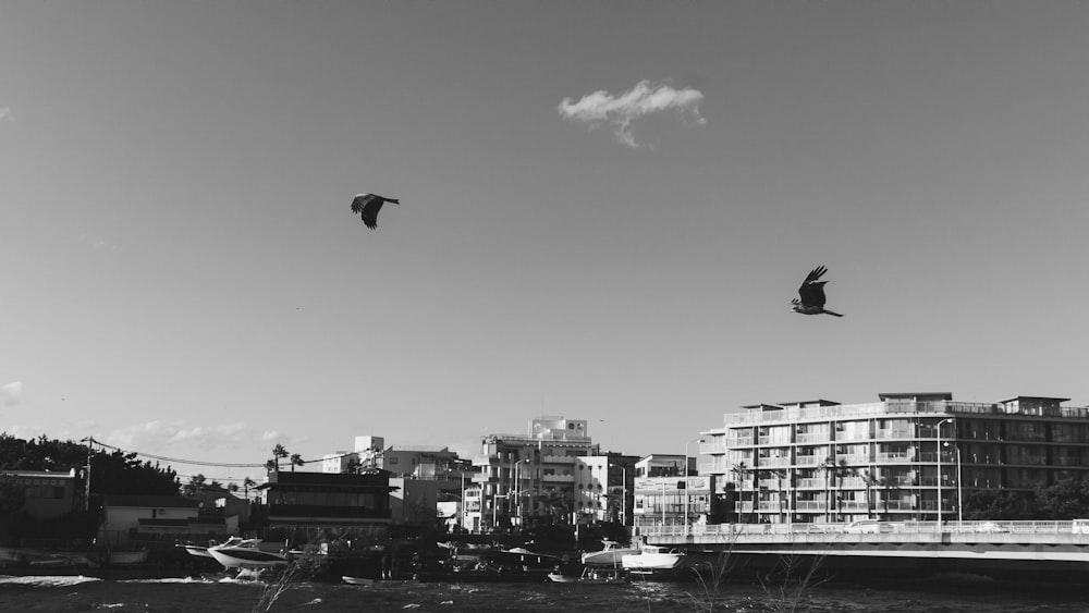 grayscale photo of a person riding a parachute over the city