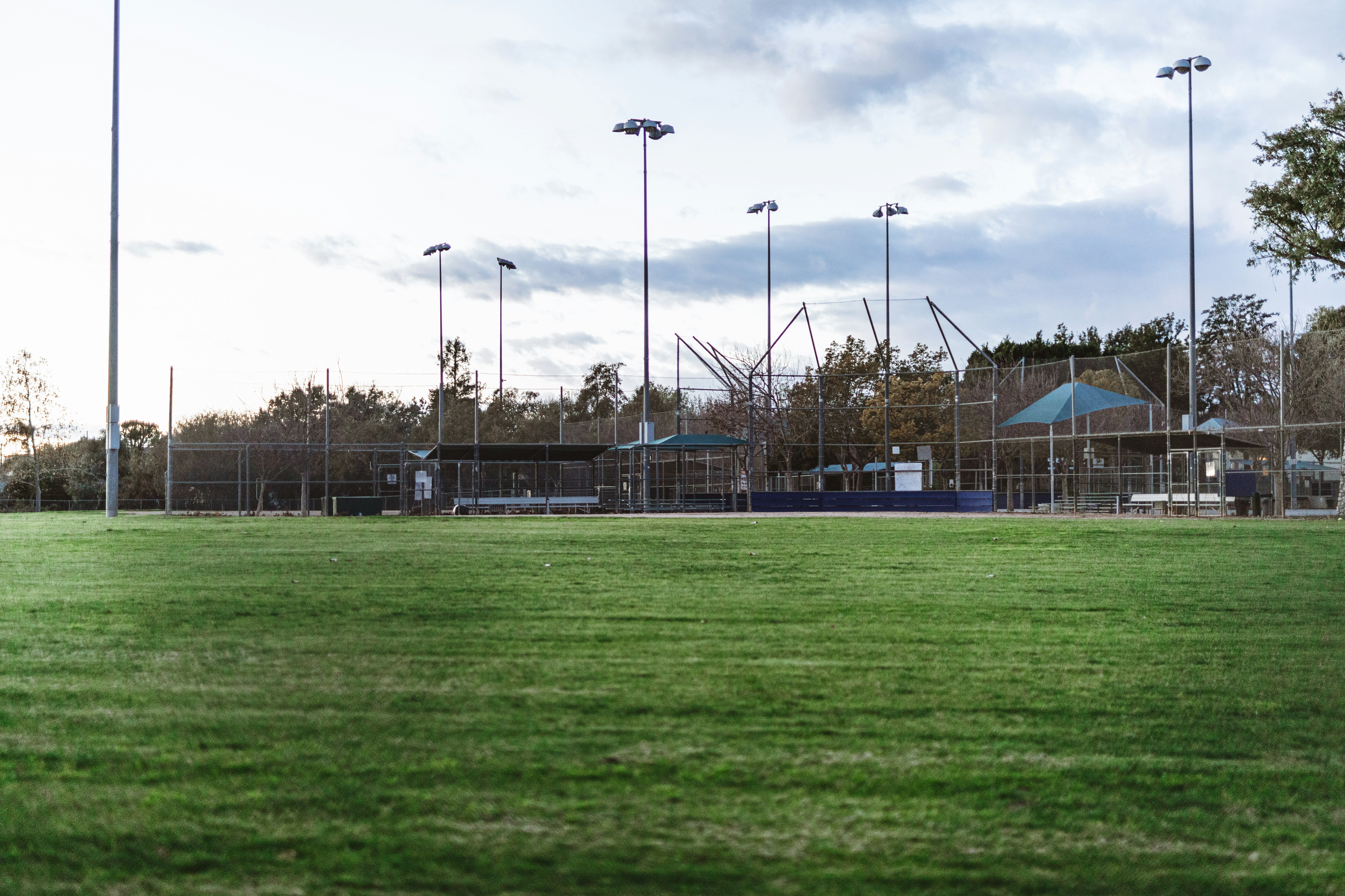 green grass field with trees and building in distance
