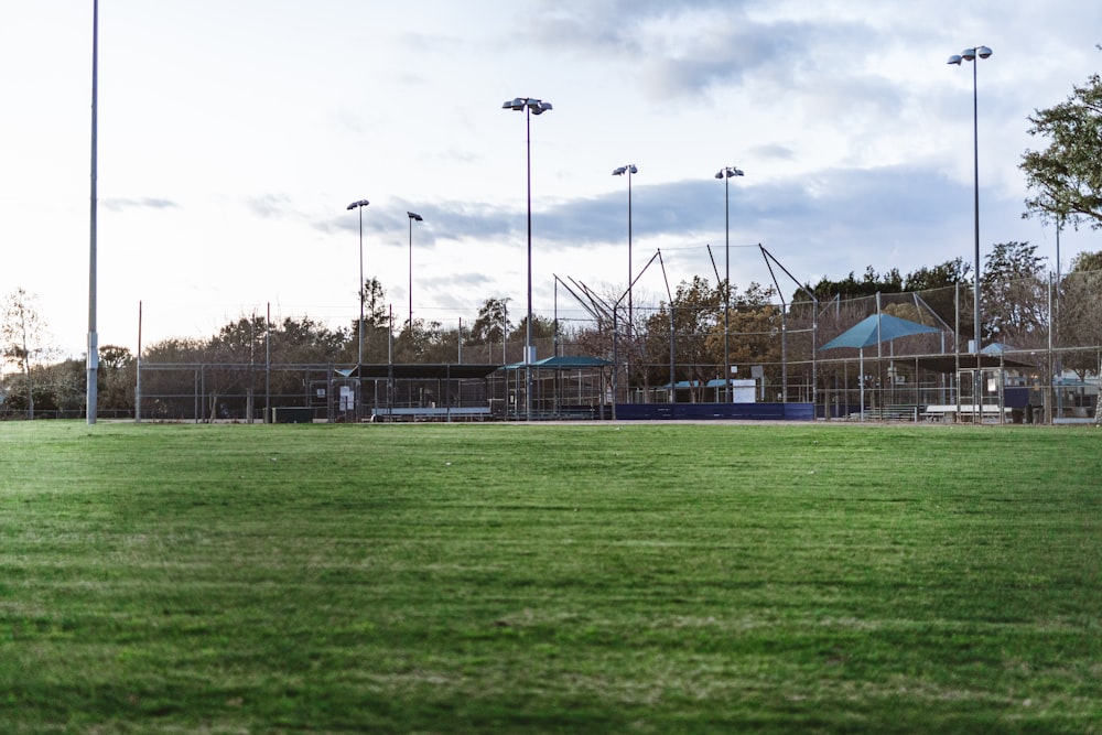 green grass field with trees and building in distance