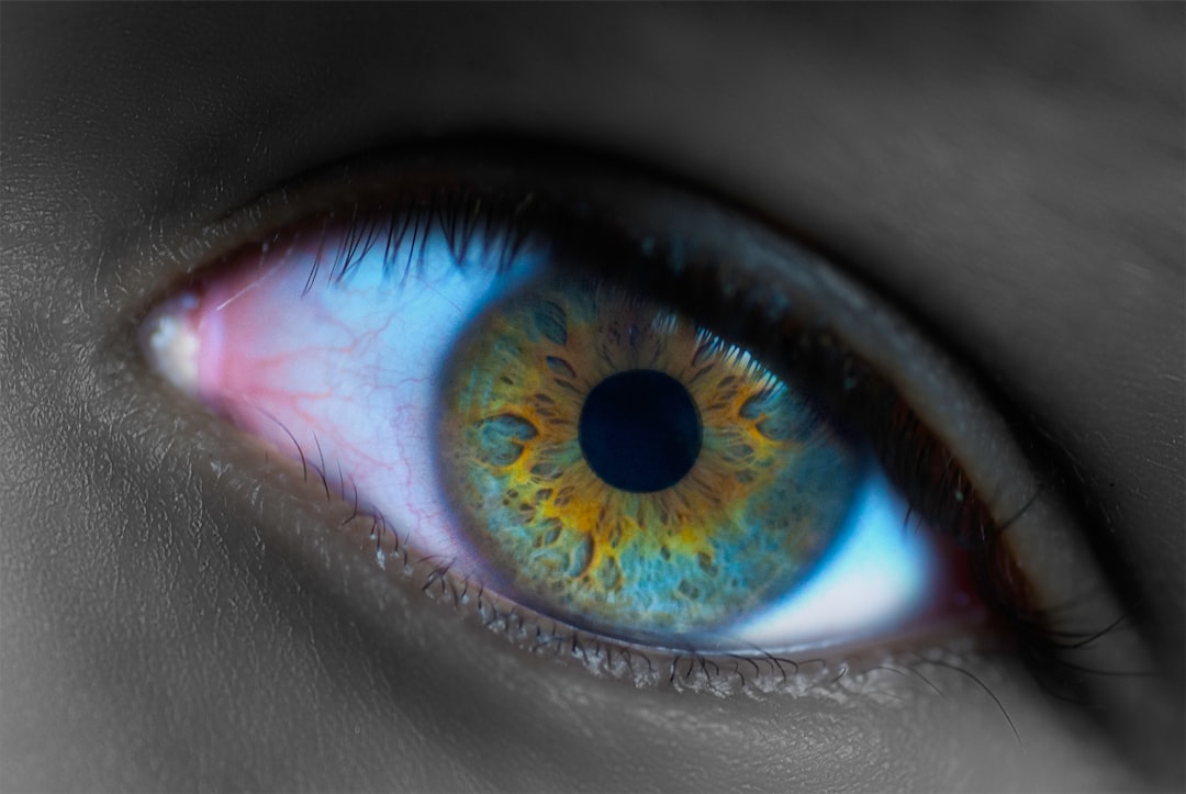 blue and black eye in close up photography