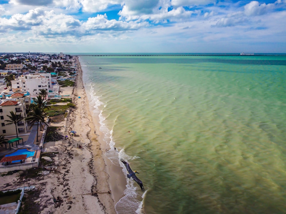 aerial view of beach during daytime