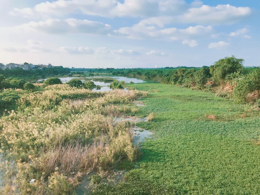 green grass field near body of water under blue sky during daytime