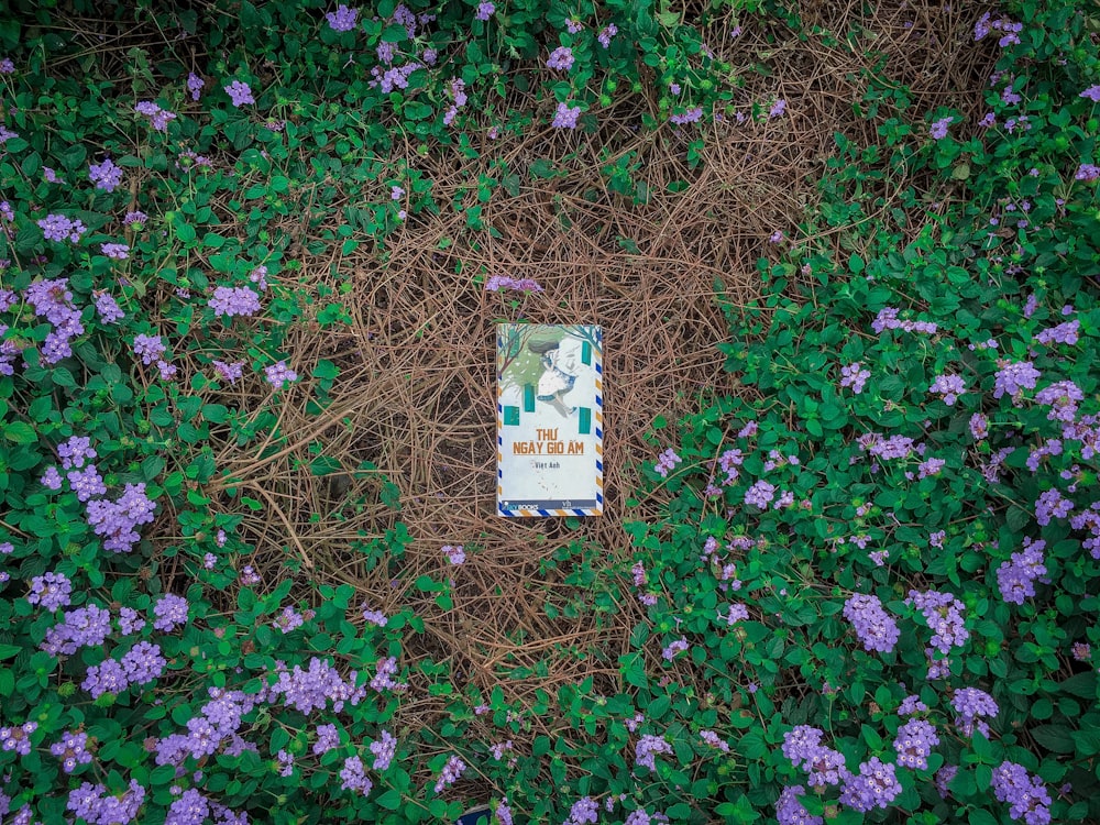 white and brown labeled pack on green grass