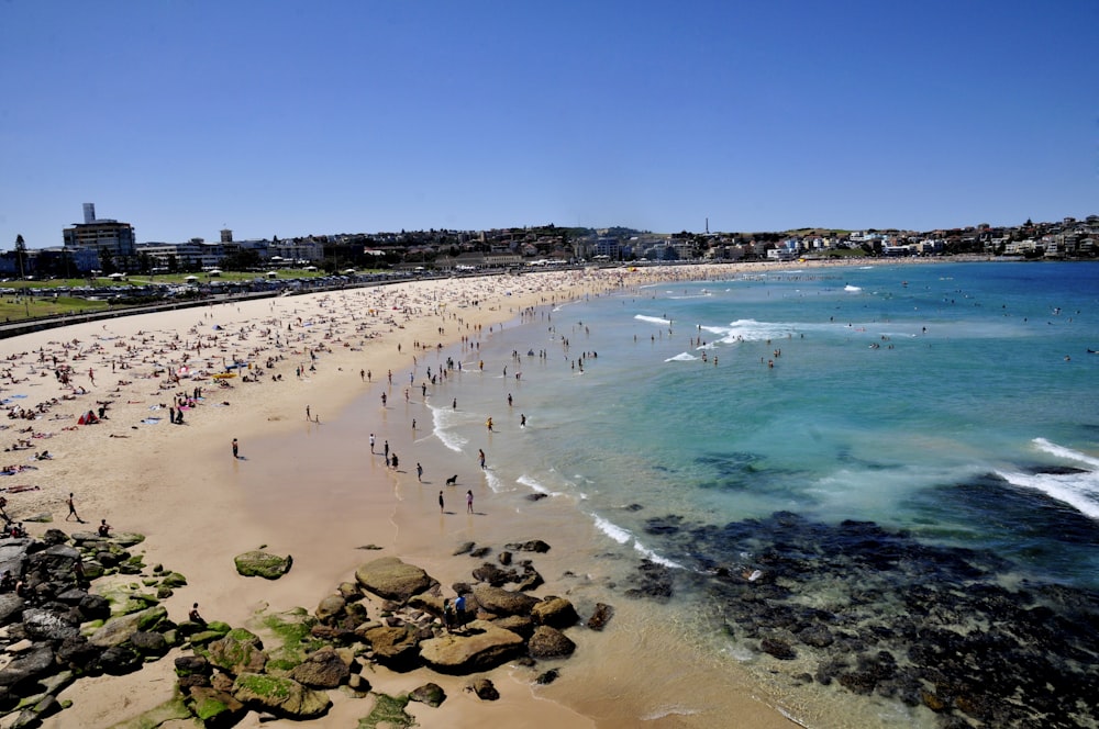 people on beach during daytime