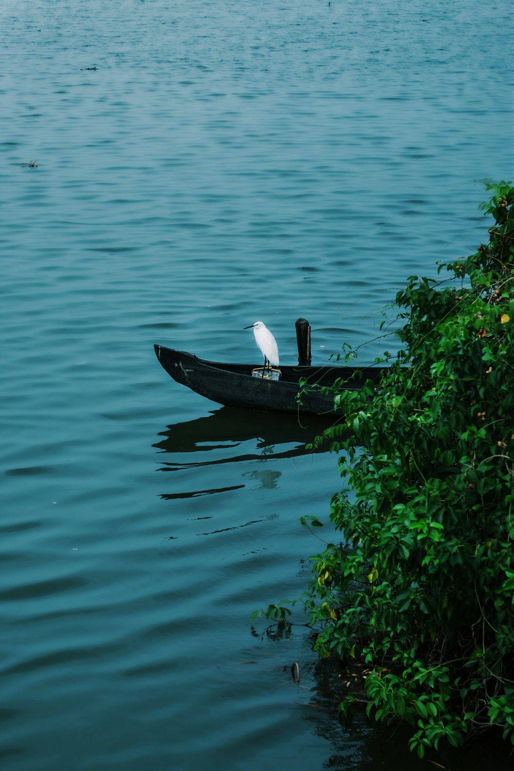 man in white shirt riding on boat on body of water during daytime