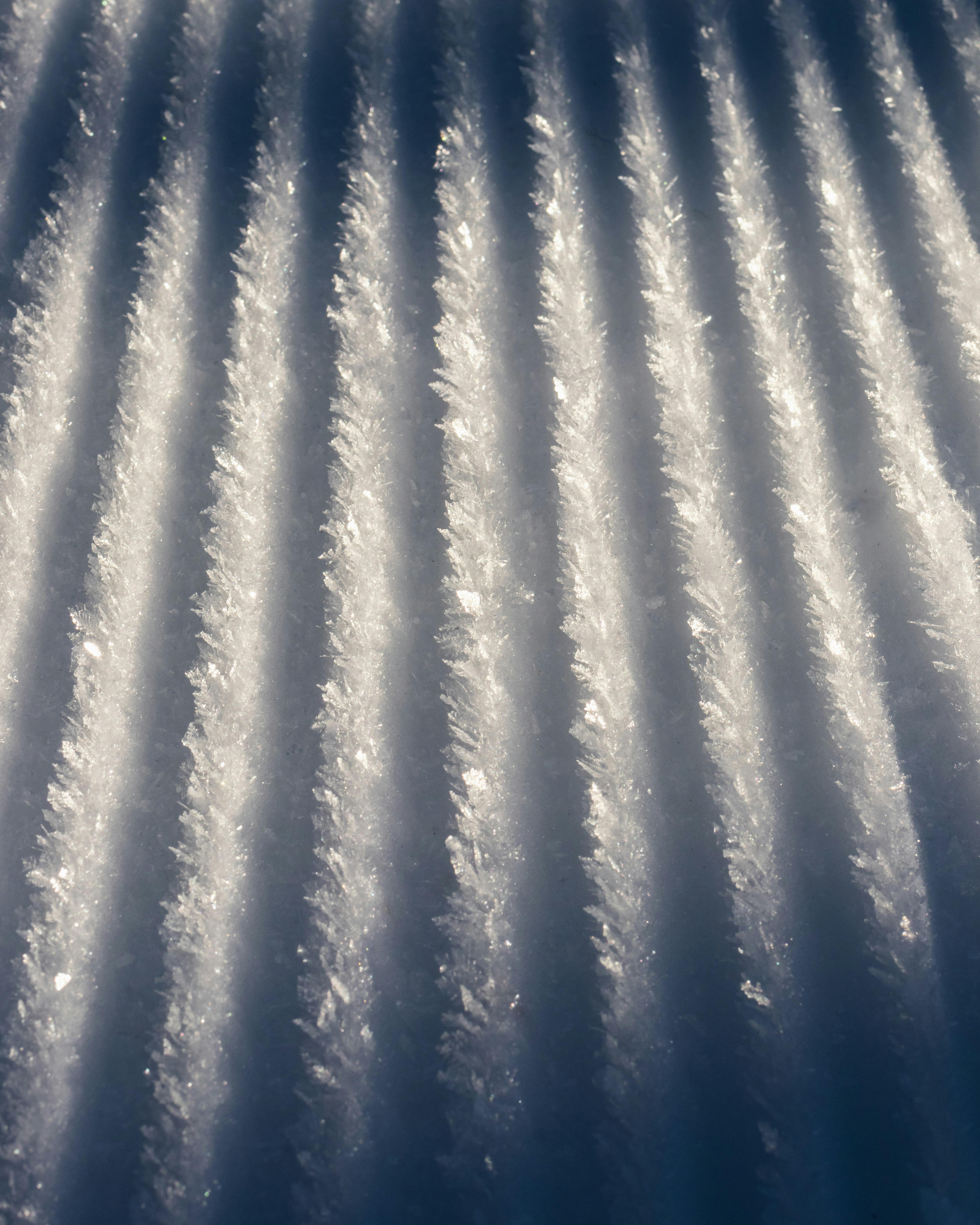 Textil de lunares azules y blancos