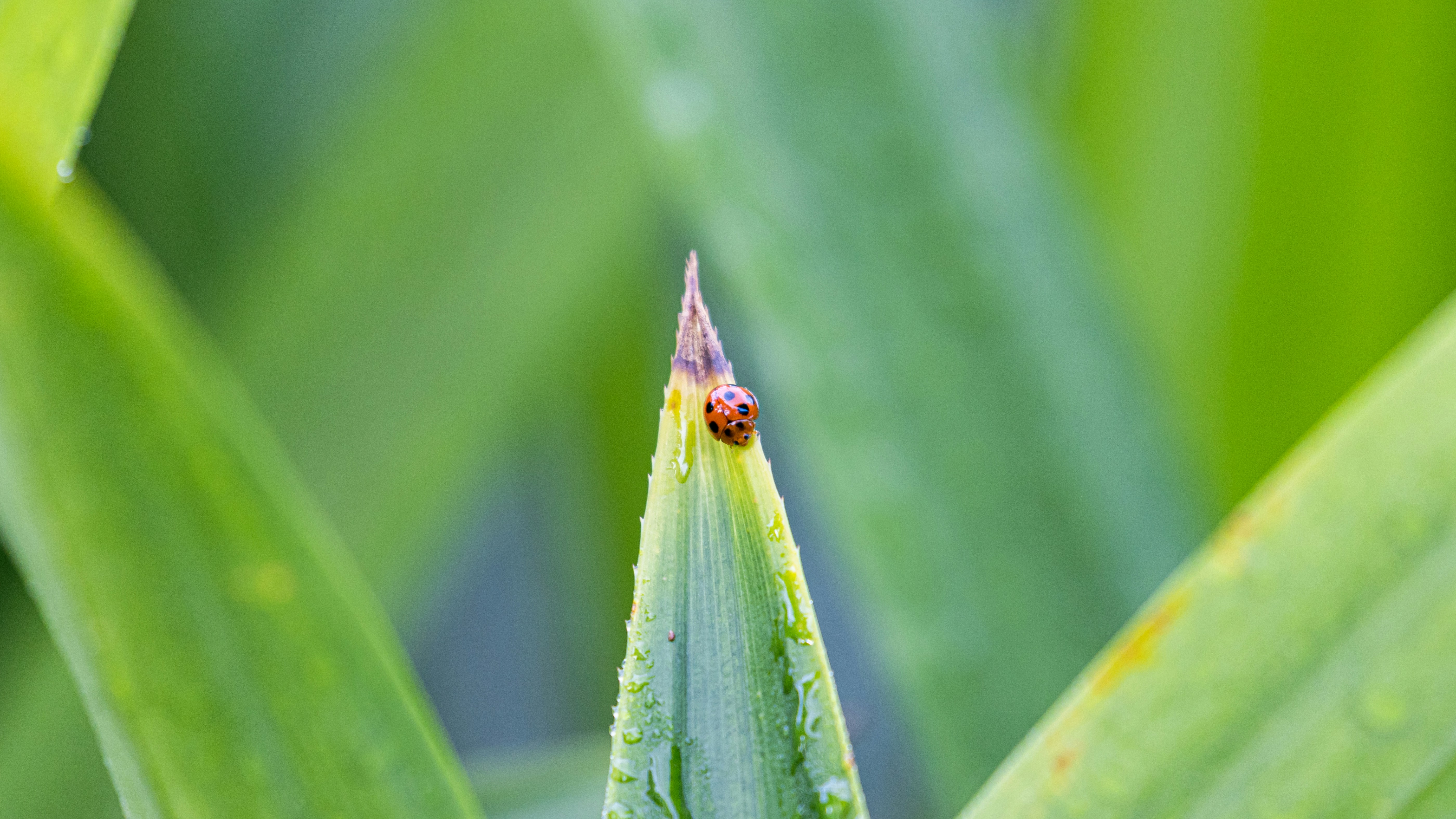 Photo by yaubinghui
