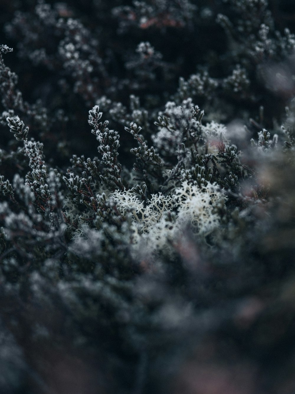 water droplets on black surface