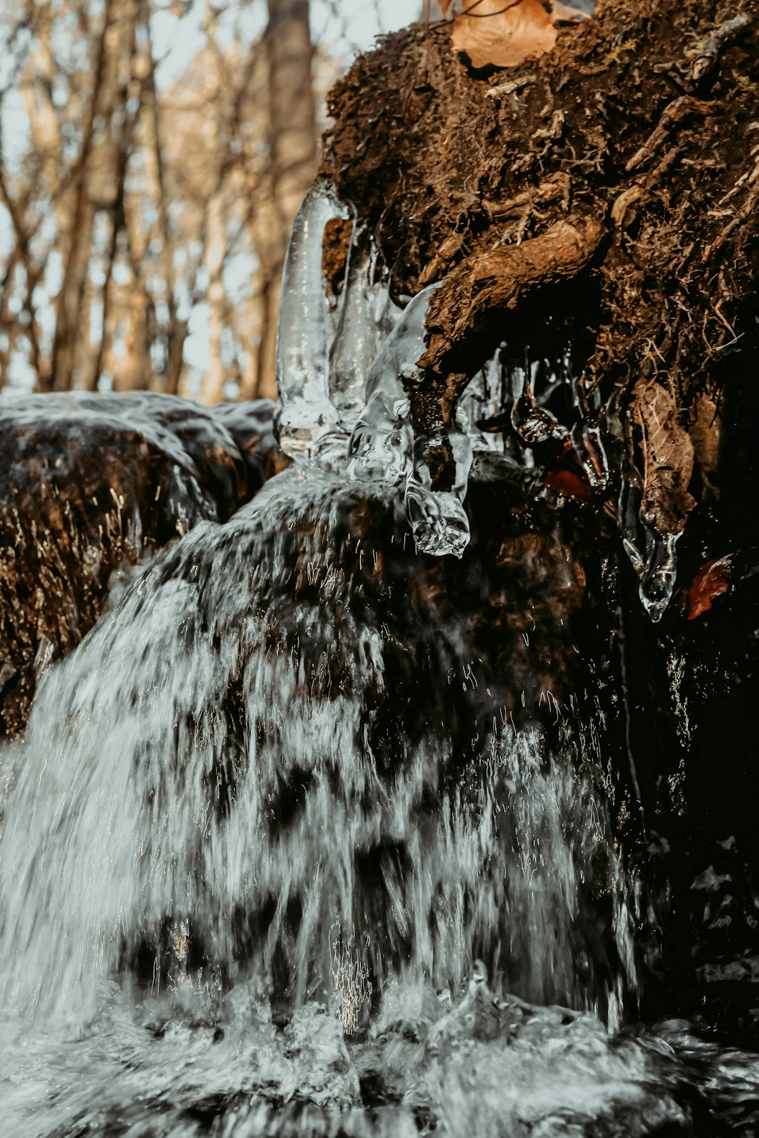 water falls on brown tree trunk