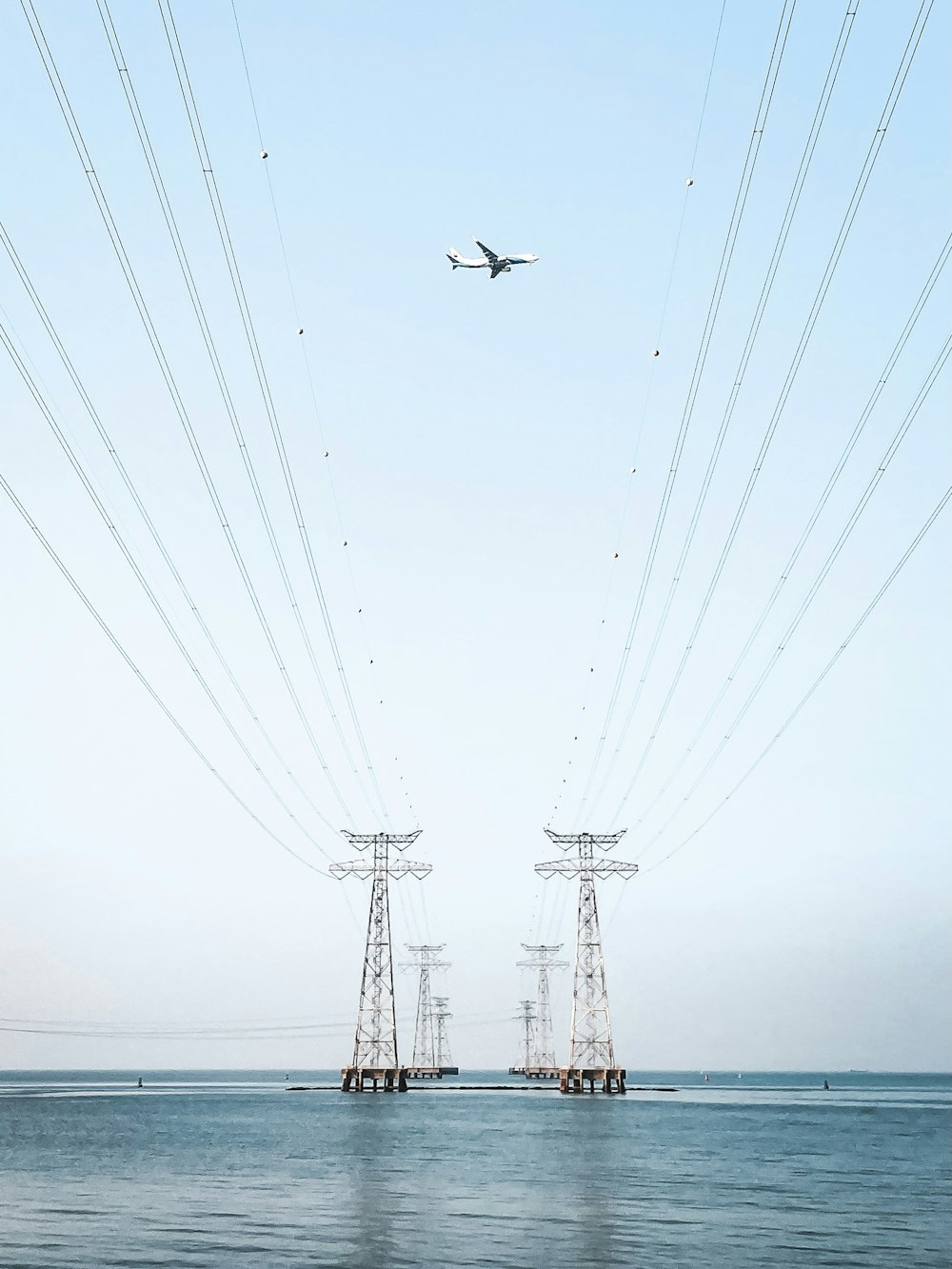 Vögel, die tagsüber über das Meer fliegen