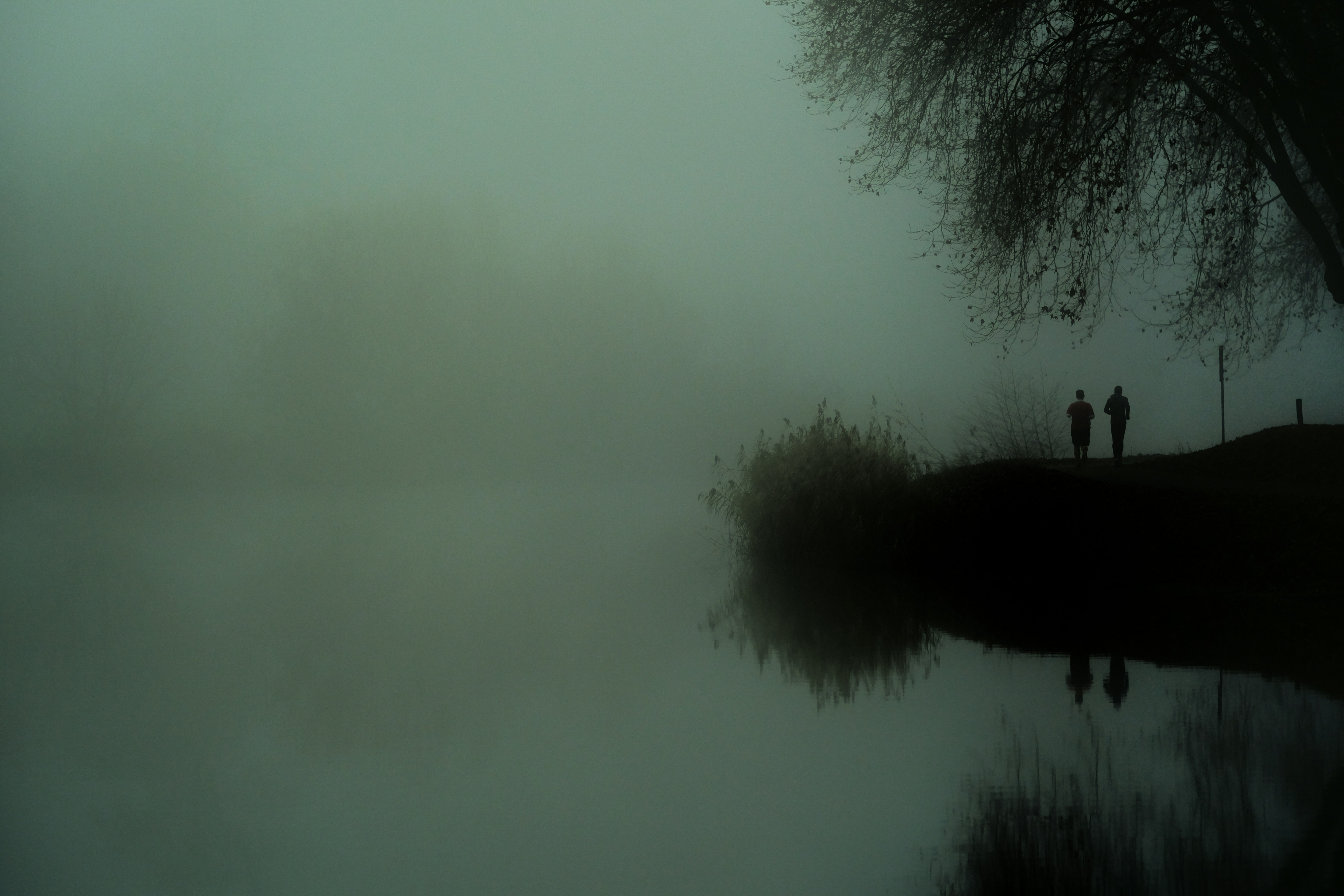 Photo by kevinmueller