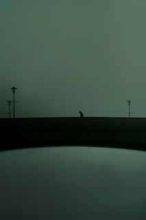 A mysterious vampire figure standing on a foggy bridge in a quaint village at twilight