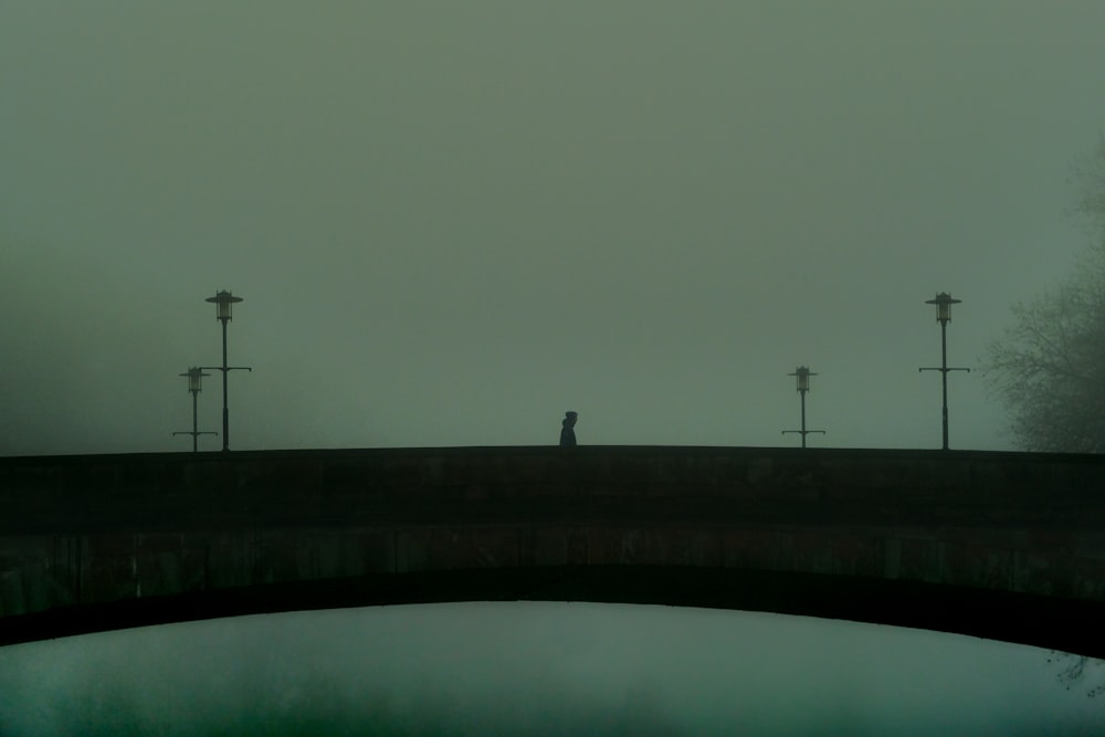 Puente negro sobre el cuerpo de agua